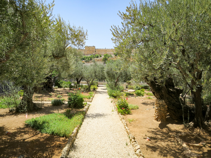 Fogueira Santa no Getsêmani