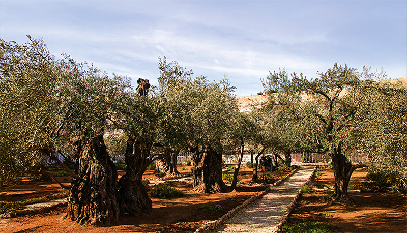 postGetsêmani: onde sua vontade é colocada à provana categoriaCapa
