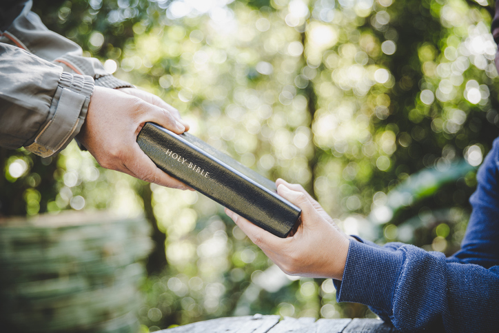 postProva de obediênciana categoriaEster Bezerra