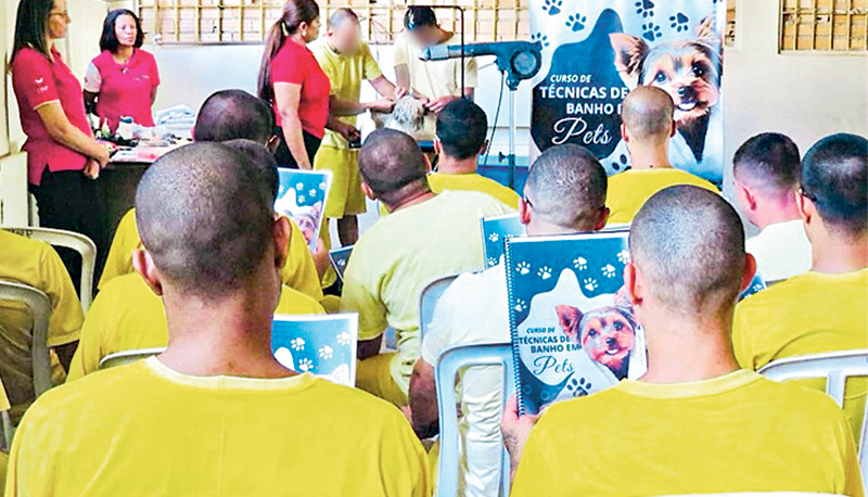 postCurso na área pet capacita detentos em Goiásna categoriaUniversal em movimento