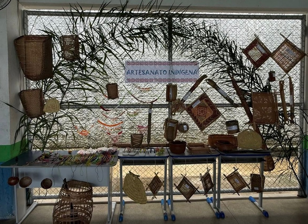 UNP Roraima_Conclusão curso1