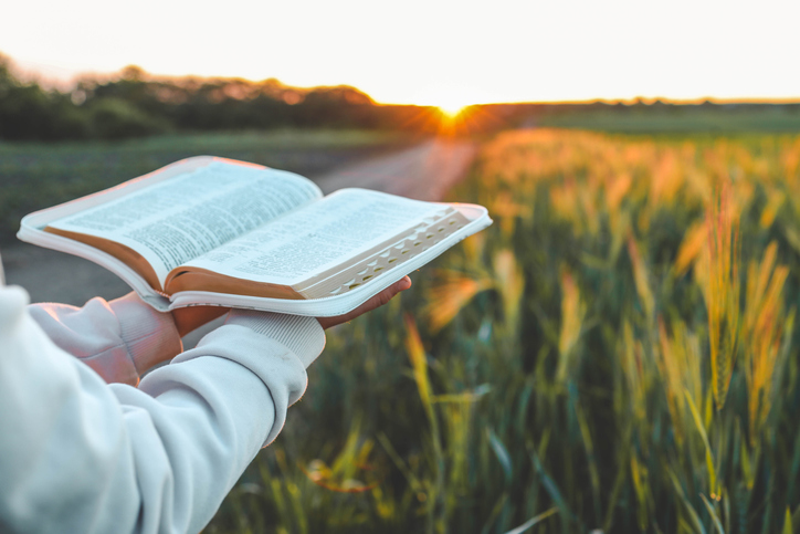 Open bible in hands close-up, concept of calmness and morning solitude