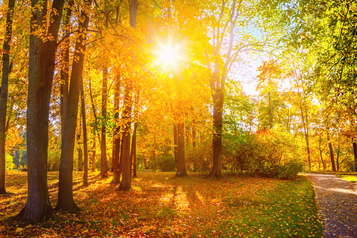 Imagem de capa - Deus responde