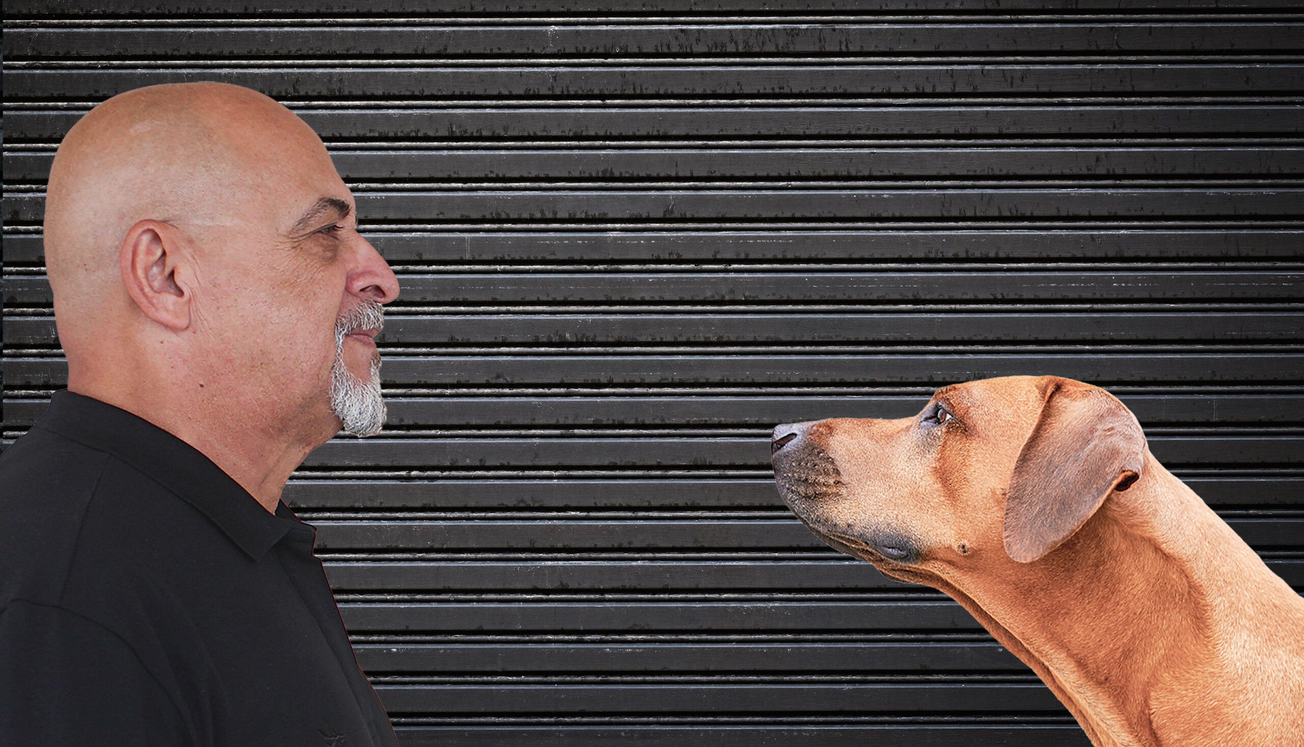 postRejeitado pela própria mãe, jurado de morte e quase derrotado por um "caramelo"na categoriaCapa