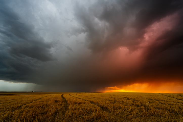 Imagem de capa - Terra corrompida