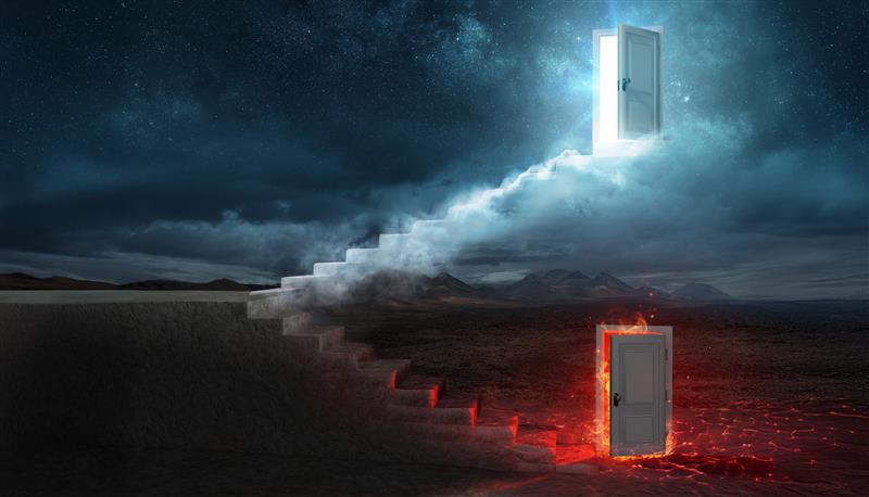 postDois reinos, duas escolhasna categoriaNotícias