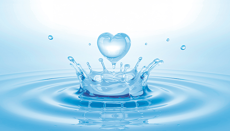 Imagem de capa - A pureza interior