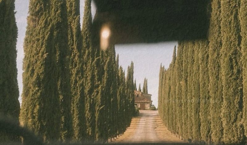 postNão é o que você vê. É o que escolhe enxergarna categoriaCristiane Cardoso