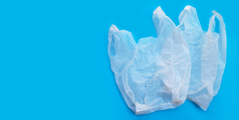 postA vida e a sacola plásticana categoriaNúbia Siqueira