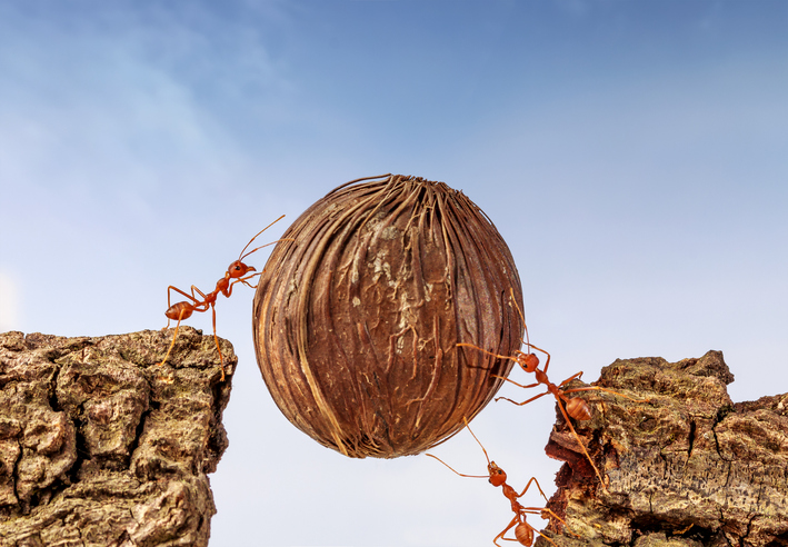 postDesaparecendo dentro da própria bondadena categoriaNúbia Siqueira