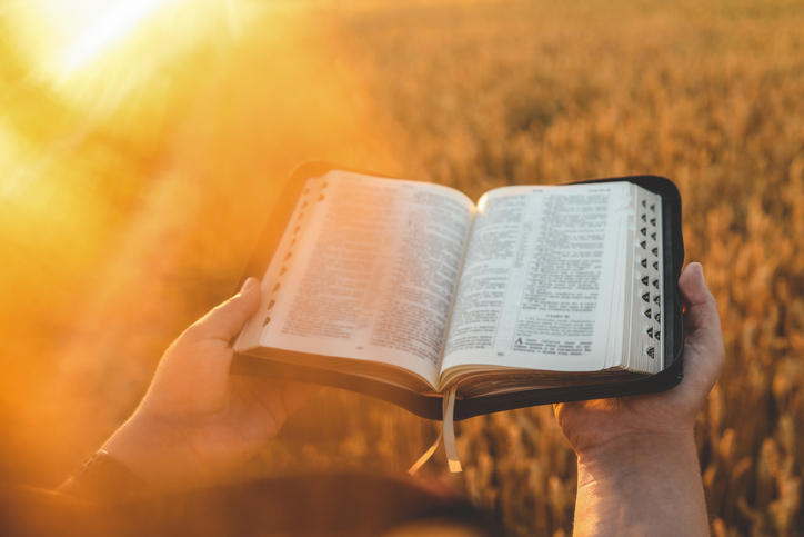 Woman holding a Bible, a natural field