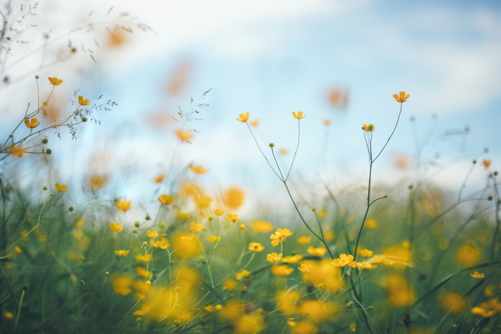 postA forma como você olha o outro define a forma como o tratana categoriaCristiane Cardoso