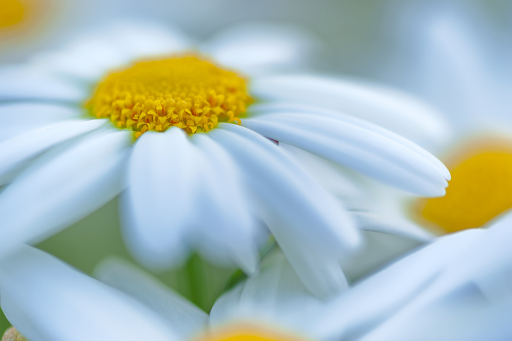 Vancouver Island British Columbia