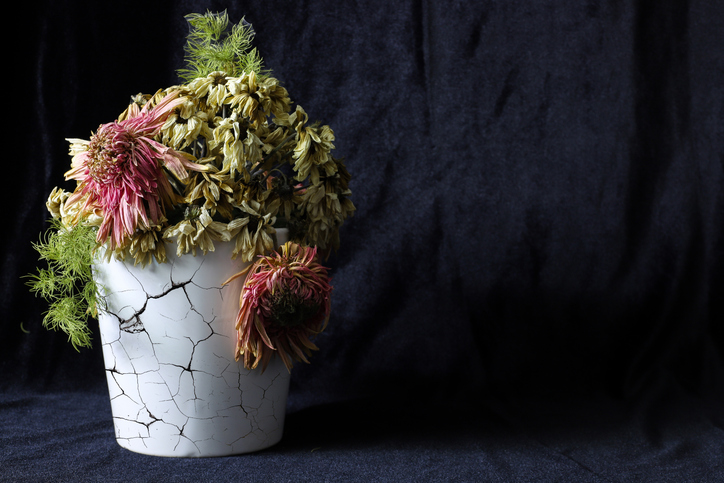 Dried or dead flowers in a cracked vase
