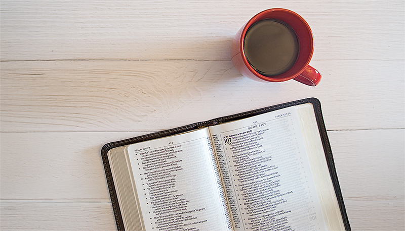 Imagem de capa - O bem precisa ser aprendido