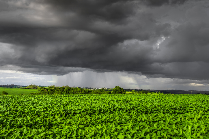 rural landscape. rain and storm