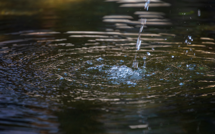 postCorrente se encerra nesta sexta-feira (20) e convoca todos à transformação espiritualna categoria7 águas consagradas