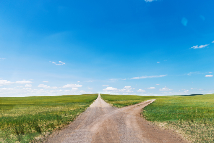 Forked road through green meadow