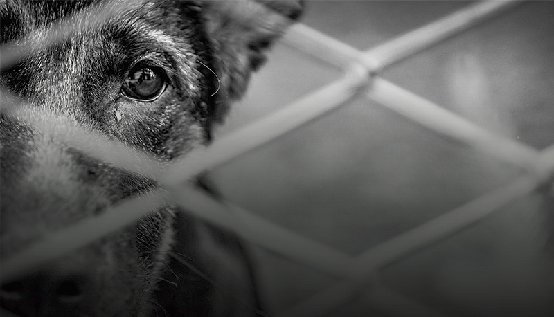 postO lado sombrio do cliquena categoriaGeral