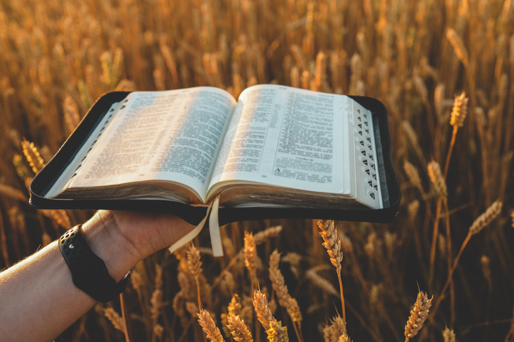 Imagem de capa - Reino de Deus