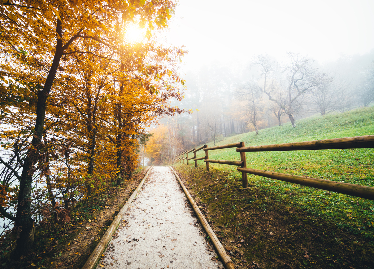 postSelo da promessa: leia a reflexão no blogna categoriaEster Bezerra