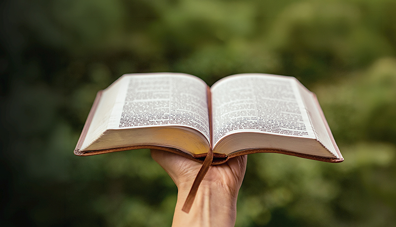 post5 conselhos da Bíblia para vencer o pecadona categoriaNotícias