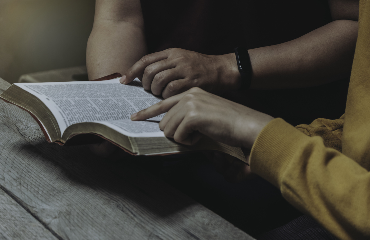 Imagem de capa - Não desprezas