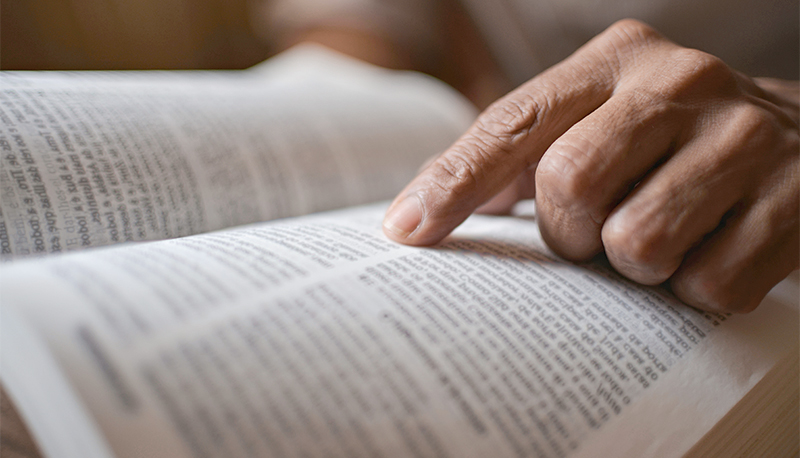 postQuem tem o Espírito Santo não morrena categoriaNotícias