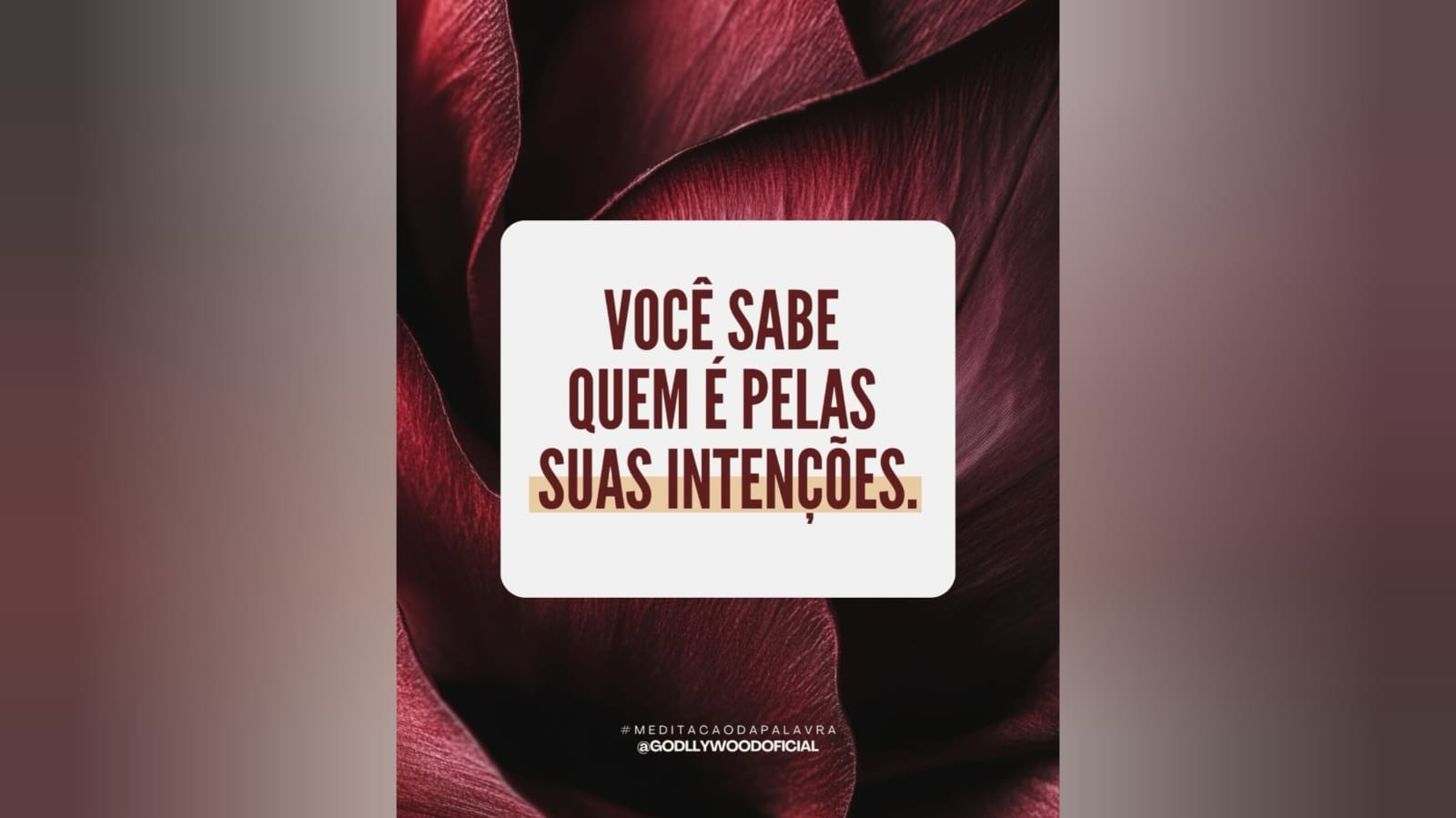 As suas intenções1