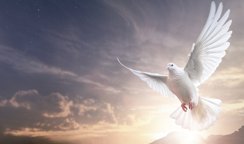 postReunião prepara fiéis para o Pentecostes e avança neste domingo (19)na categoriaEsteja conosco!