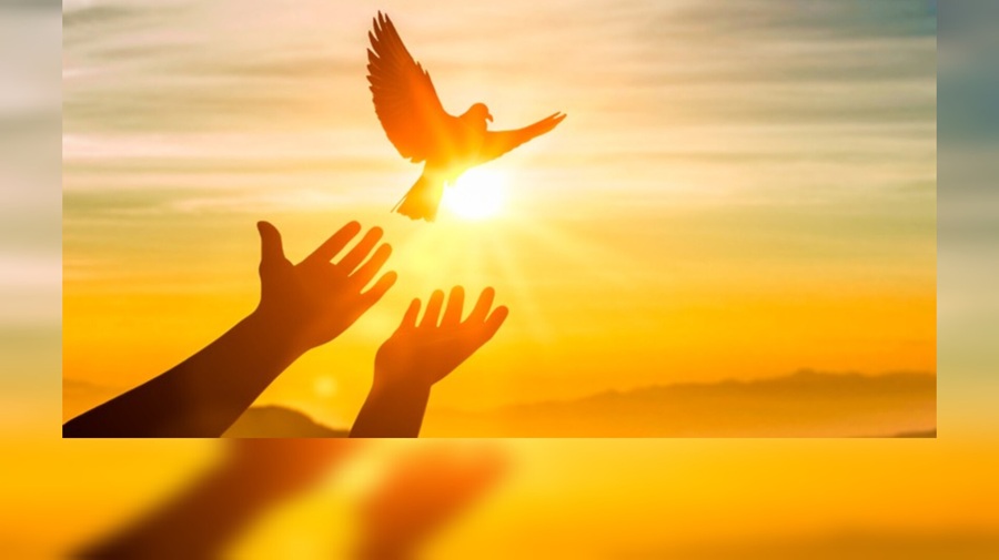 postO derramamento do Espírito Santo. Leia maisna categoriaNo Dia de Pentecostes