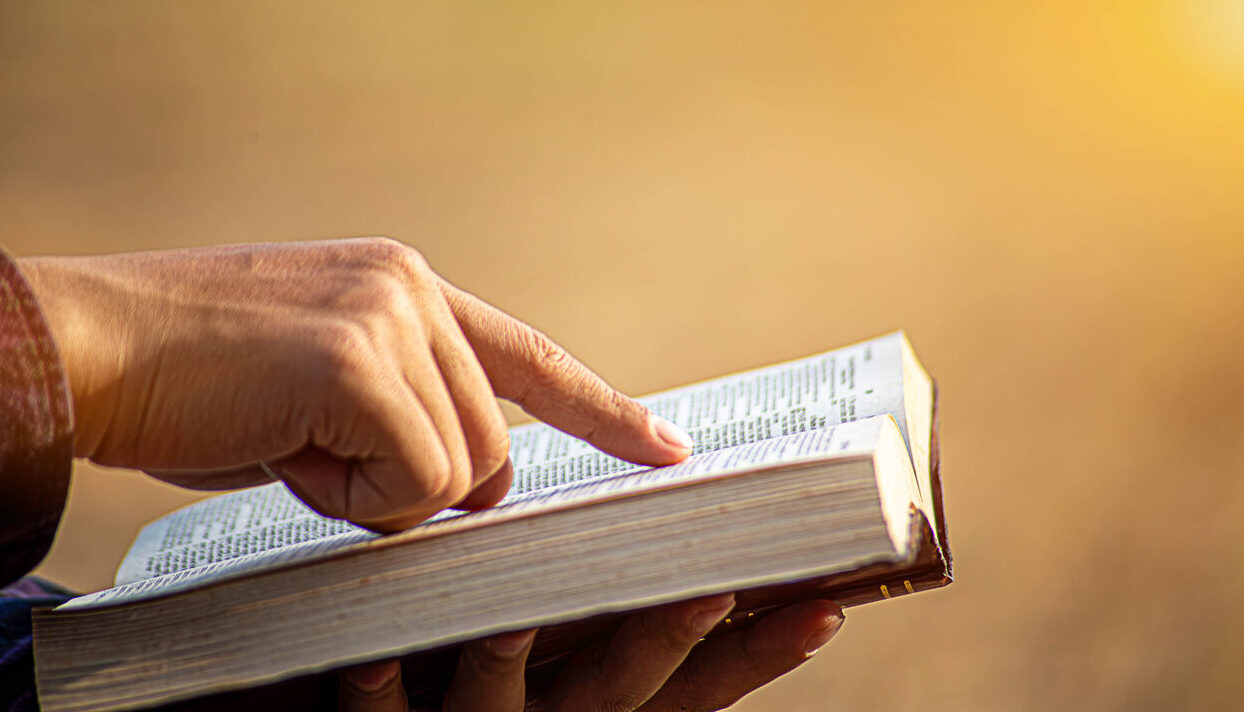 Imagem de capa - Pregando o evangelho