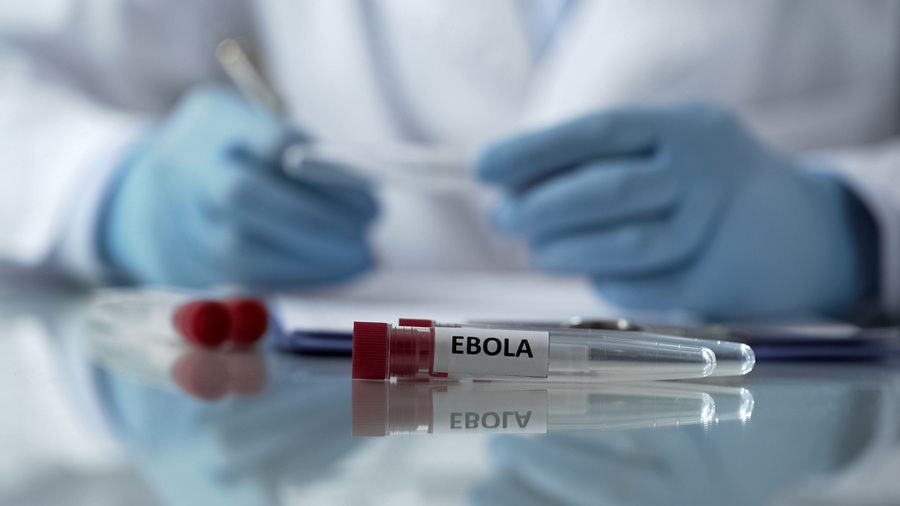postÁfrica: OMS declara emergência internacional após novo surtona categoriaNova variante do vírus Ebola