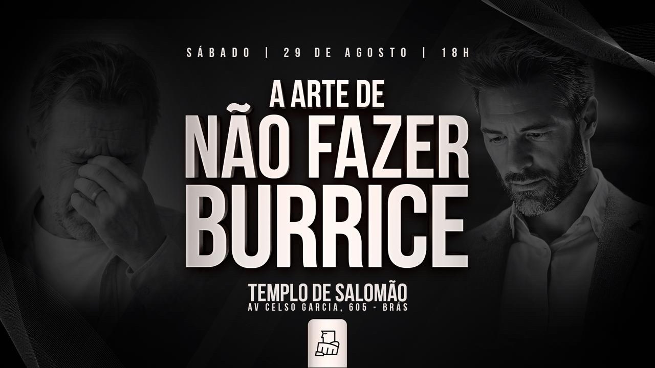 Imagem de capa - A Arte de Não Fazer Burrice