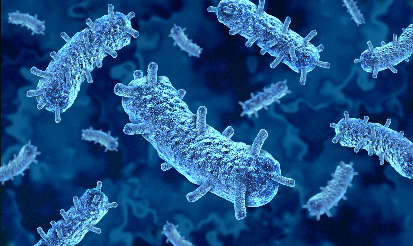 Imagem de capa - Morte de técnica de laboratório na Sibéria levanta suspeita de peste pneumônica